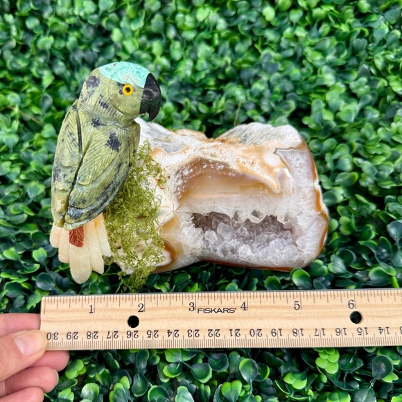 Parrot carving on Agate Geode – Symbol of Awakening & Joy - Picture 6 of 6